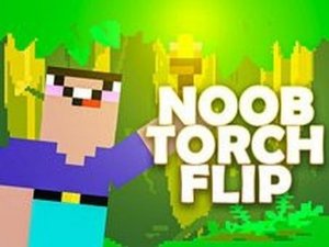 Torch Flip 2D Arcade - Ludoryx free online game
